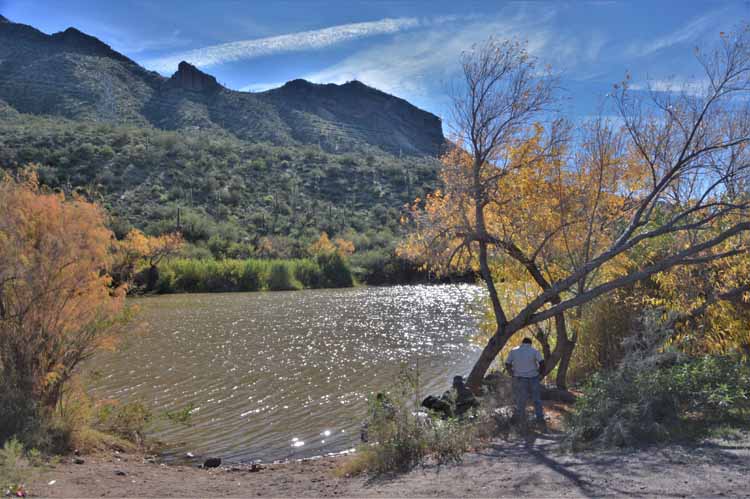 bartlett lake